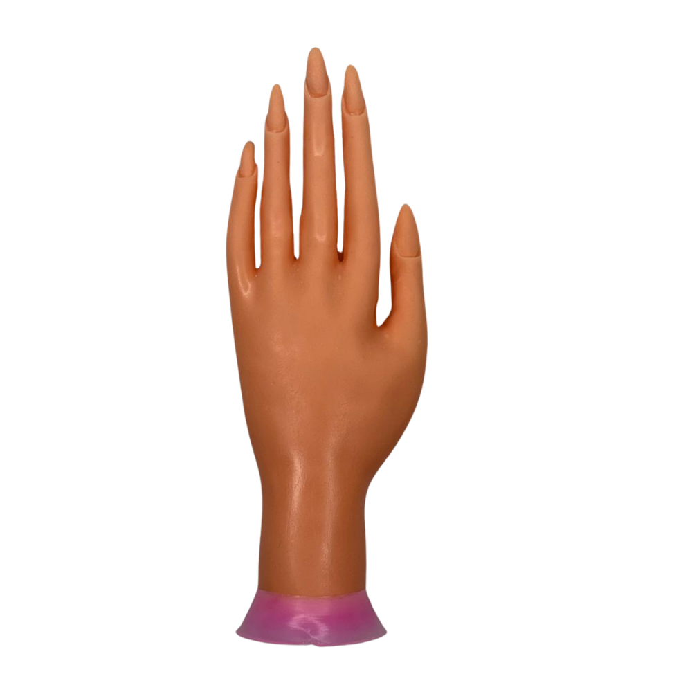 Mano de Práctica para Uñas con Uñas Integradas para Manicure, Acrílico, Gel y Soft Gel - Mano - Elegans Nails