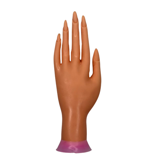 Mano de Práctica para Uñas con Uñas Integradas para Manicure, Acrílico, Gel y Soft Gel - Mano - Elegans Nails